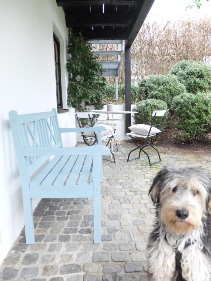 Gartenstudio-Apartment Tausendfreund - Adults Only - Am Chiemsee Breitbrunn am Chiemsee Exteriör bild